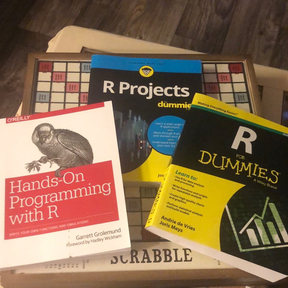 3 Pack Programing R Books- R for Dummies, R Projects, & Hands on Programming w/R